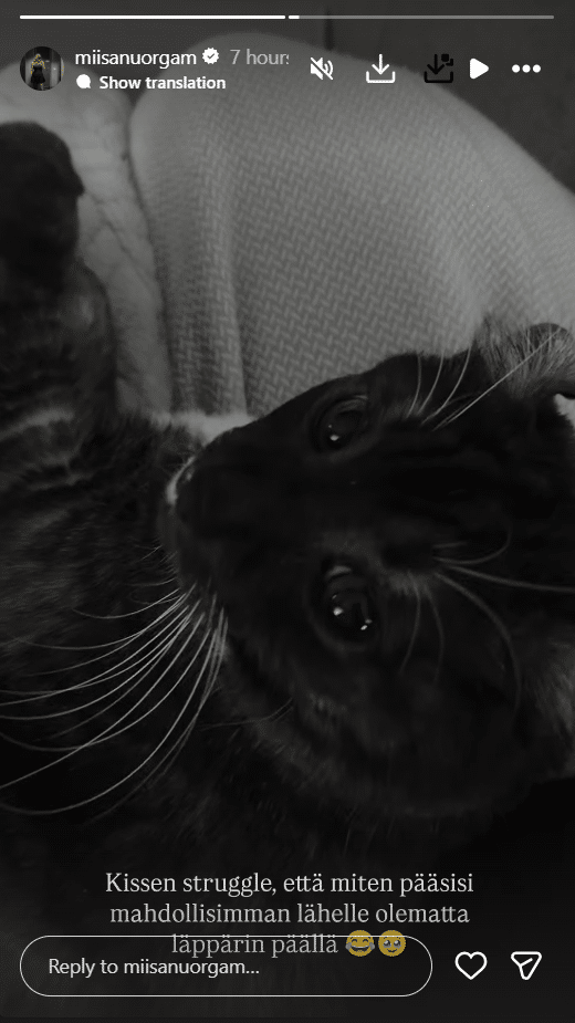 miisa nuorgam instagram story