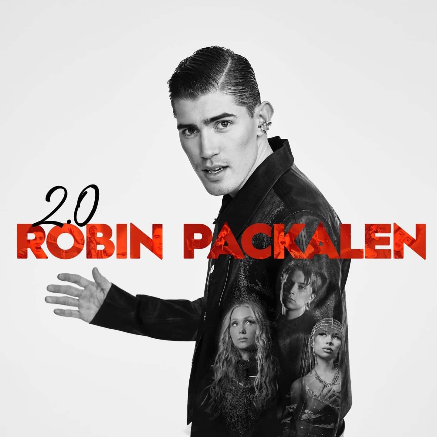 robin packalen