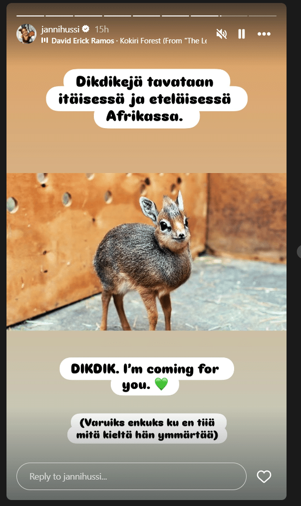 janni hussi instagram